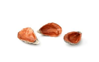 Oyster Copper
